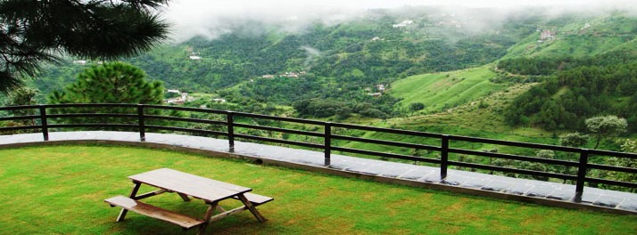 1482/Woodsmoke Resort & Spa - Shimla 15.jpg